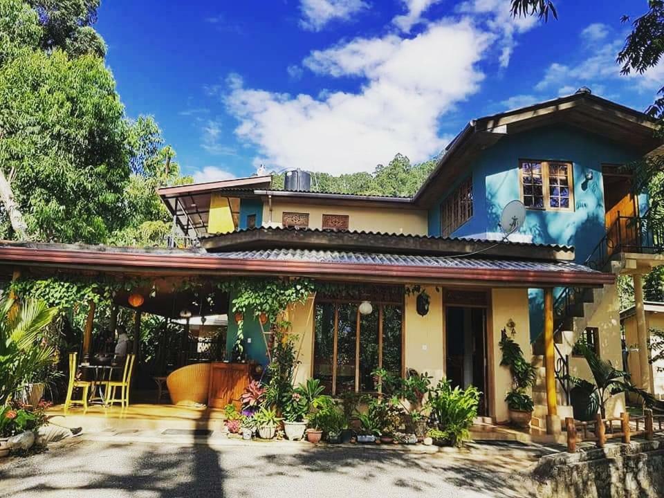 Waterfalls Homestay Ella Esterno foto