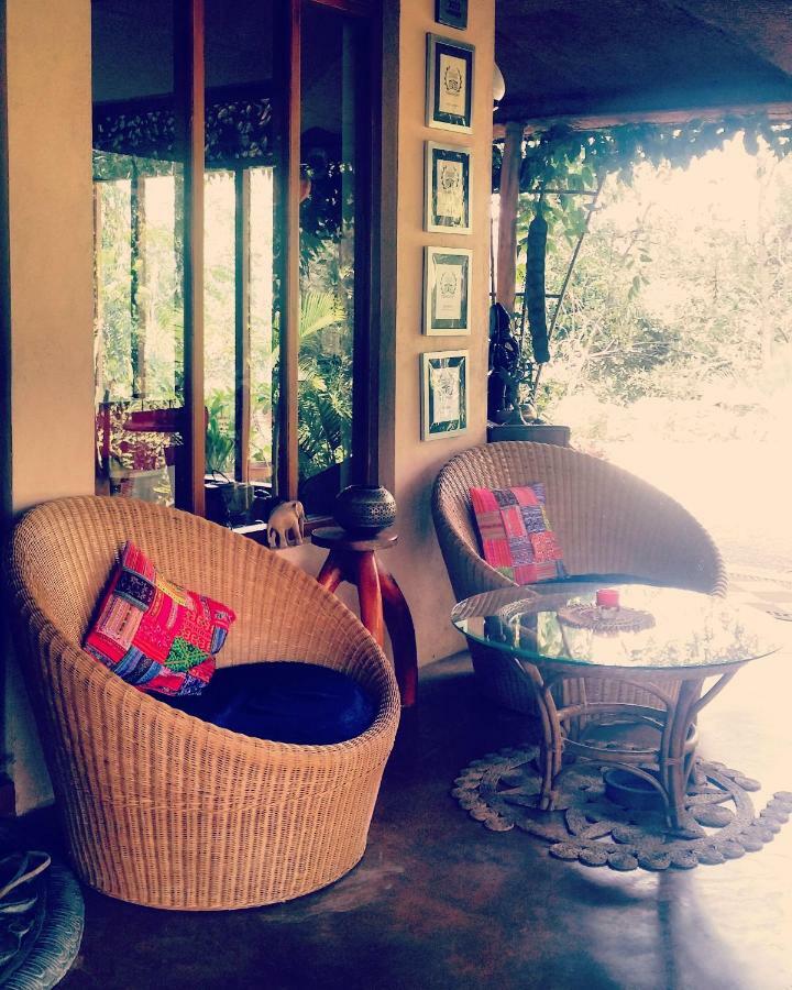 Waterfalls Homestay Ella Esterno foto