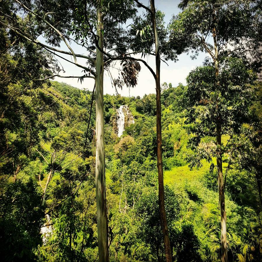 Waterfalls Homestay Ella Esterno foto