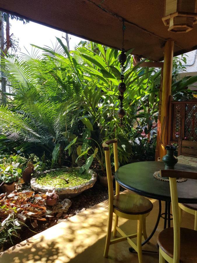Waterfalls Homestay Ella Esterno foto